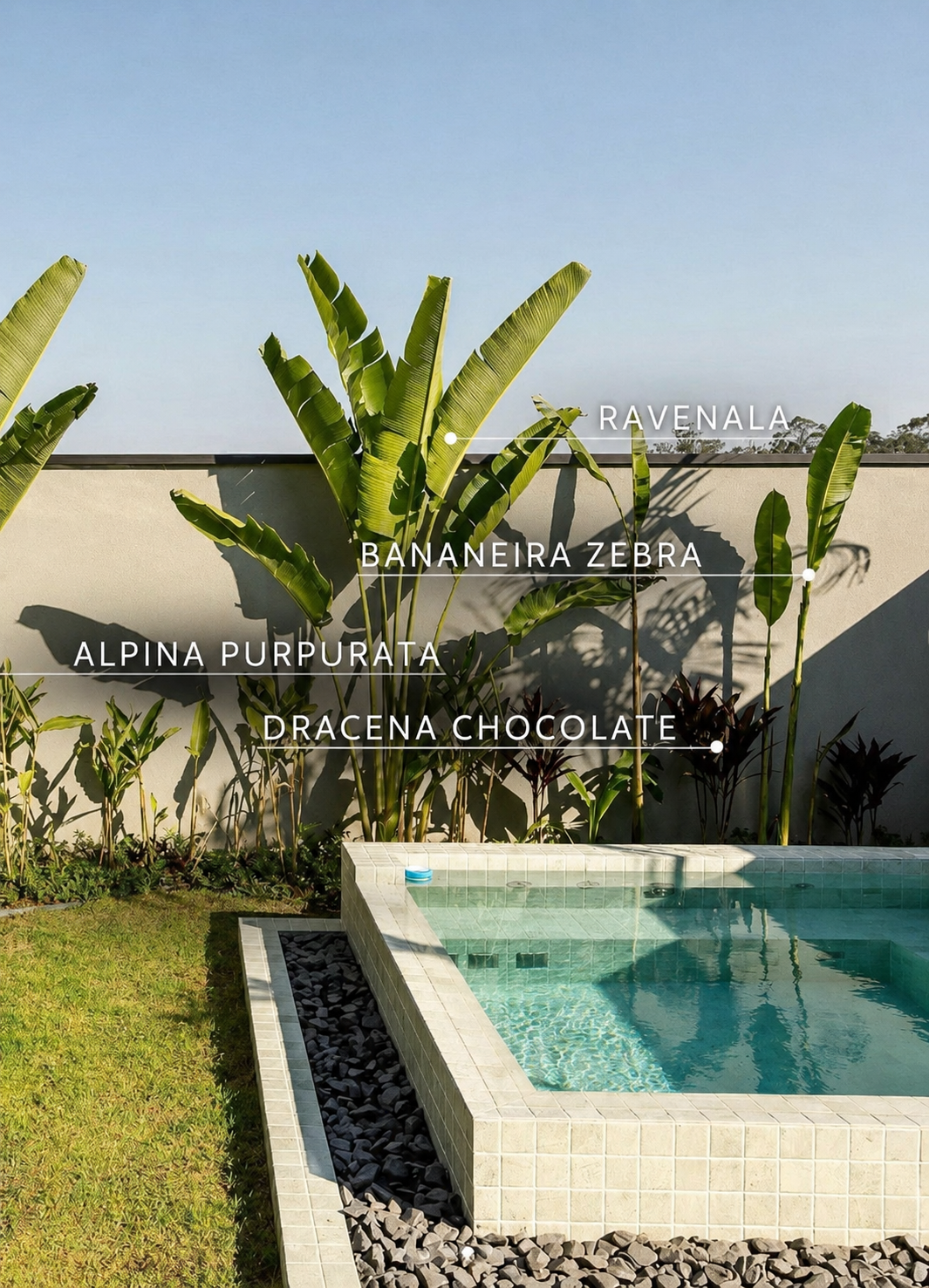 Paisagismo com espécies tropicais ao redor da piscina